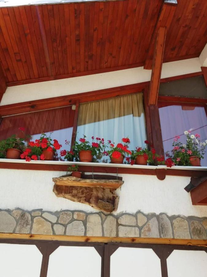 Къща За Гости Орфей Smoljan Exterior foto